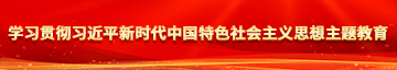 操逼网络学习贯彻习近平新时代中国特色社会主义思想主题教育